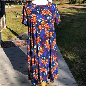 NWT LuLaRoe Carly Dress